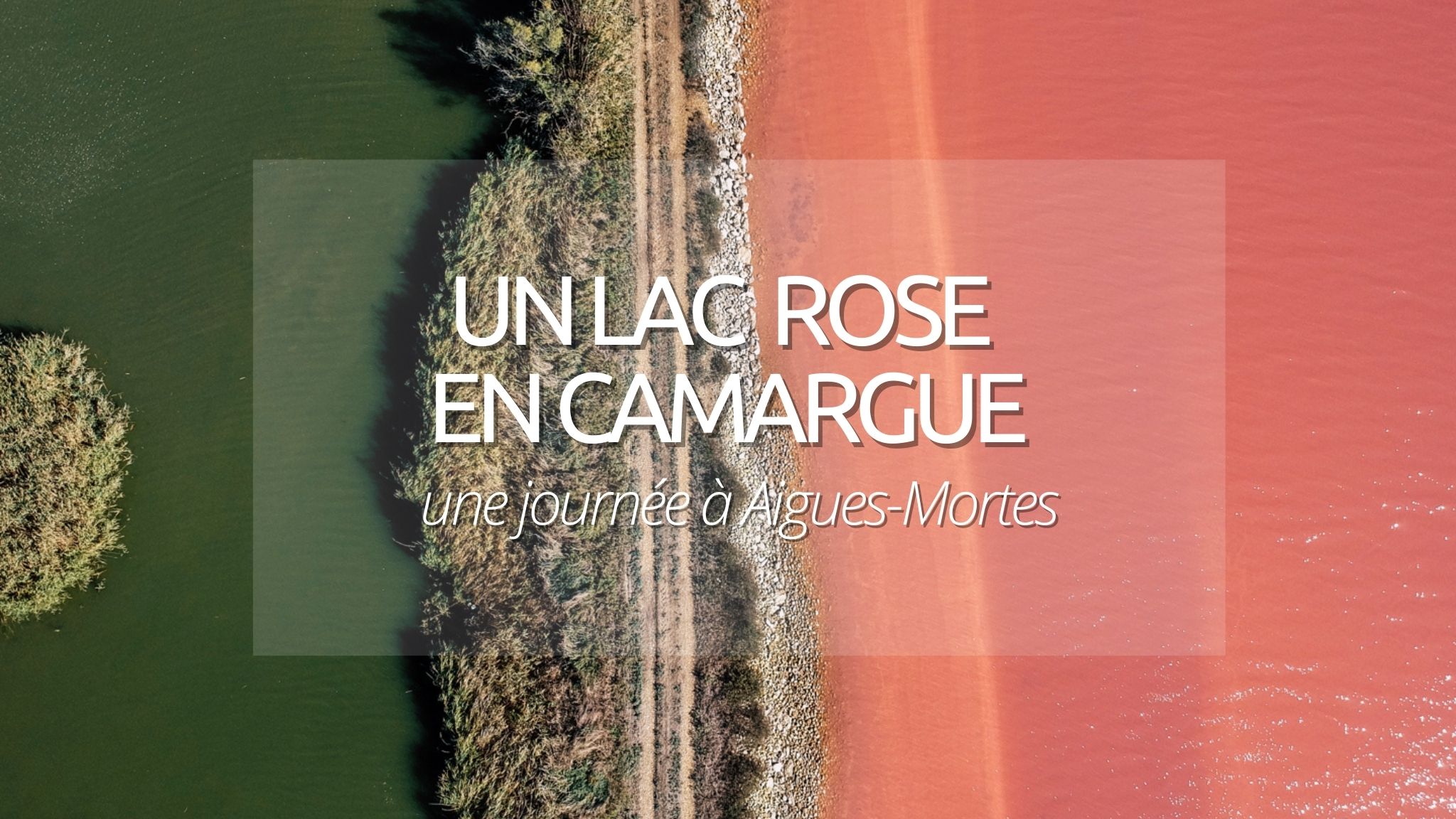 Découverte curieuse : Aigues-Mortes et son lac rose en Camargue