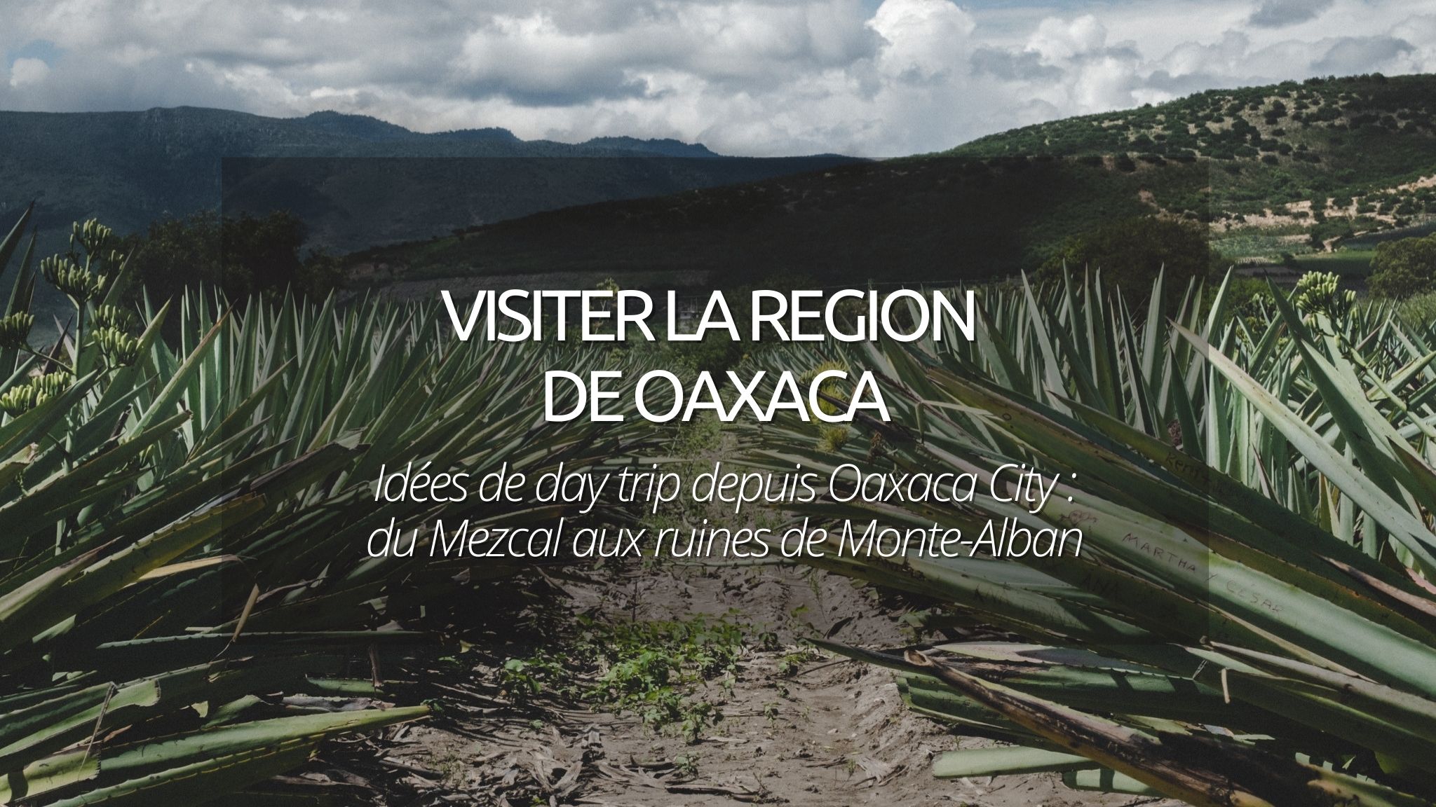 Visiter Oaxaca : Idées d’excursions, du Mezcal aux ruines de Monte-Alban