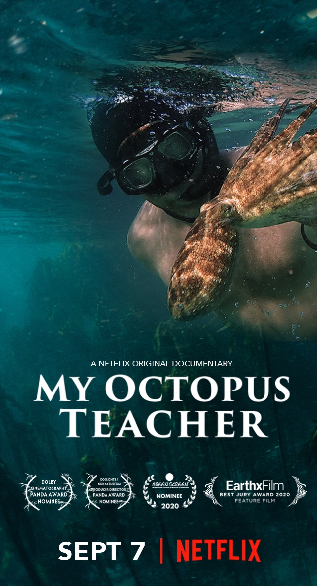 affiche film My Octopus Teacher